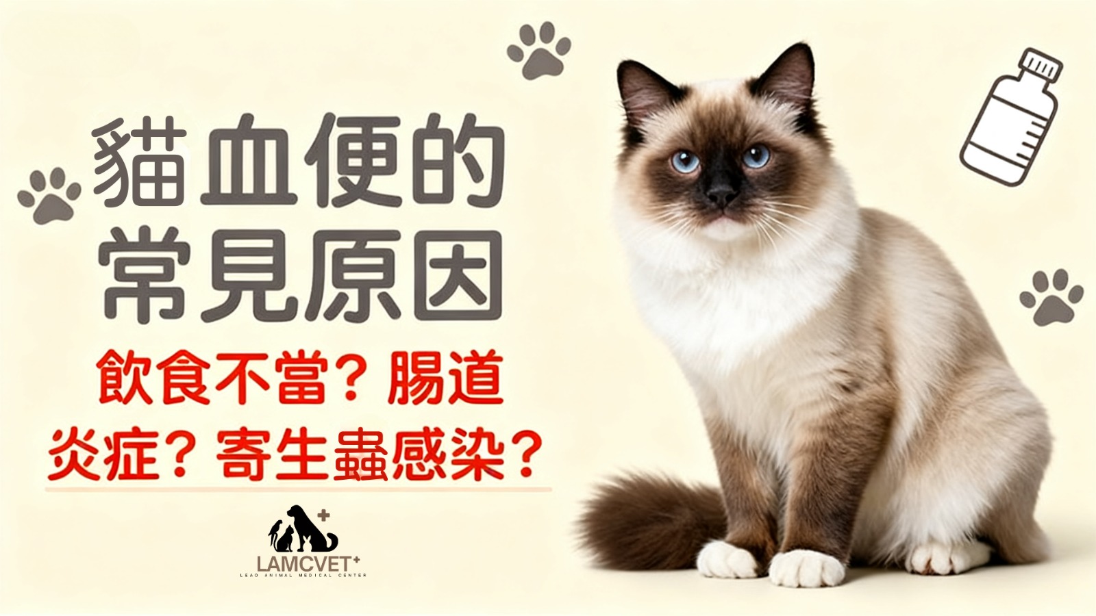 貓咪便秘的常見原因圖解 - 飲食不當、腸道炎症、寄生蟲感染等成因分析